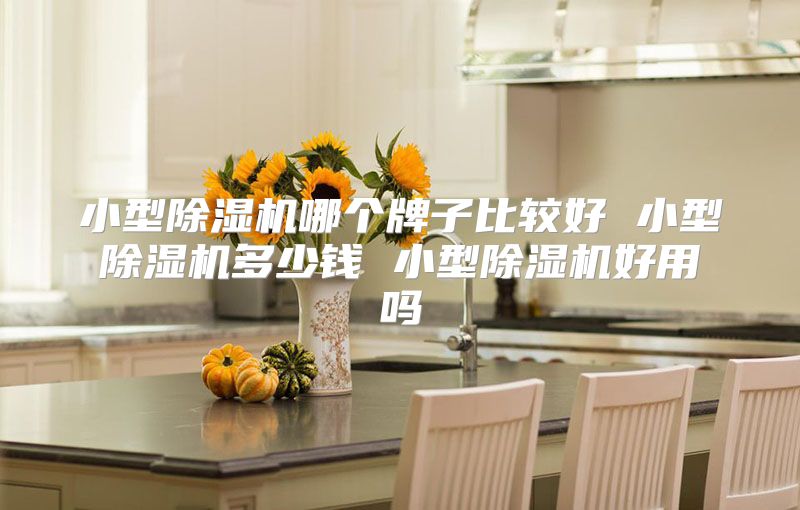 小型除湿机哪个牌子比较好 小型除湿机多少钱 小型除湿机好用吗