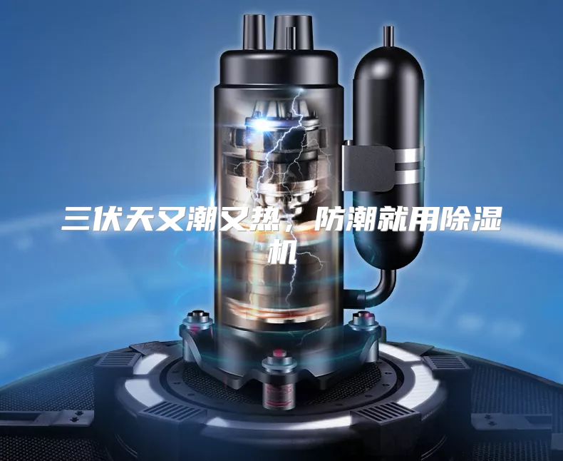 三伏天又潮又热，防潮就用除湿机