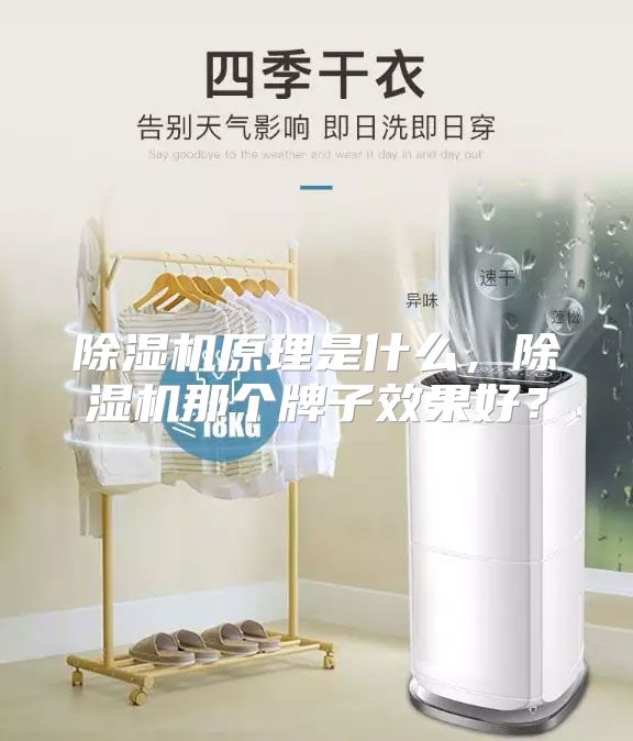 除湿机原理是什么，除湿机那个牌子效果好？
