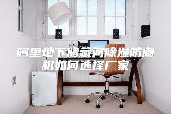 阿里地下储藏间除湿防潮机如何选择厂家