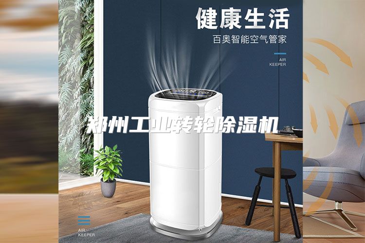 郑州工业转轮除湿机