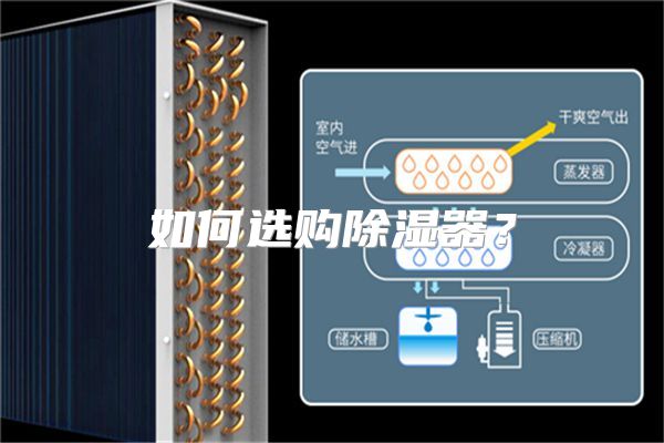 如何选购除湿器？
