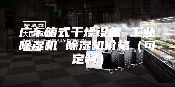 广东箱式干燥设备 工业除湿机 除湿机价格（可定制）