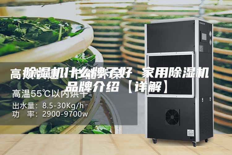 除湿机什么牌子好 家用除湿机品牌介绍【详解】