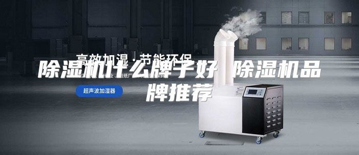 除湿机什么牌子好 除湿机品牌推荐