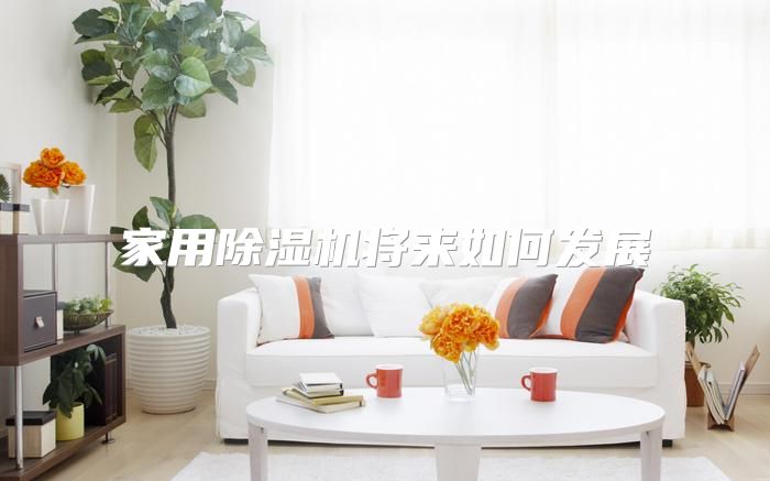 家用除湿机将来如何发展