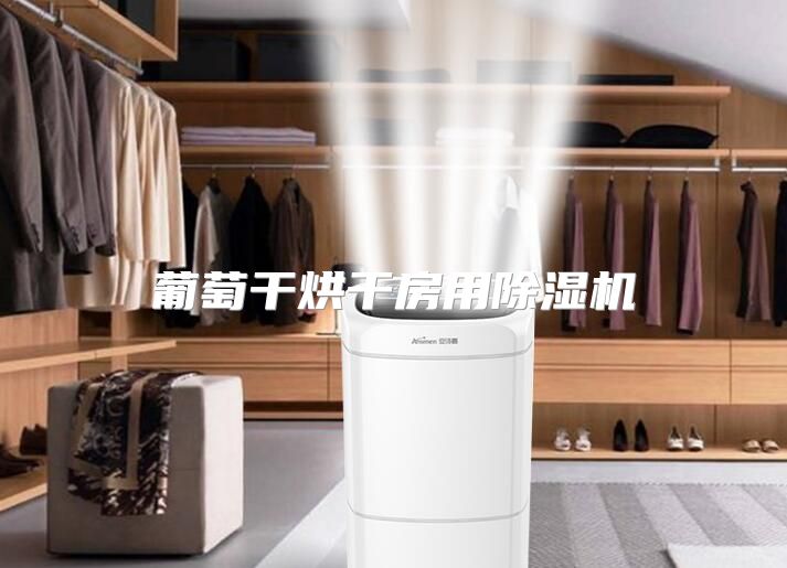 葡萄干烘干房用除湿机
