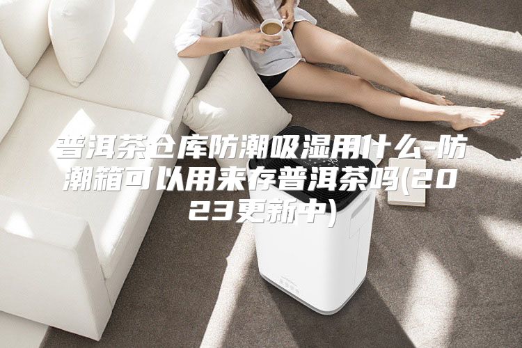 普洱茶仓库防潮吸湿用什么-防潮箱可以用来存普洱茶吗(2023更新中)