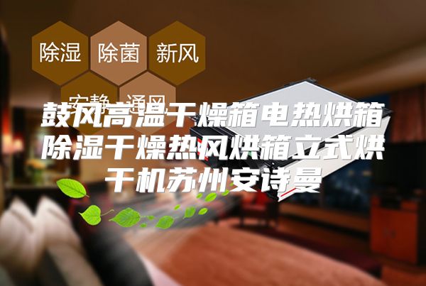鼓风高温干燥箱电热烘箱除湿干燥热风烘箱立式烘干机苏州安诗曼