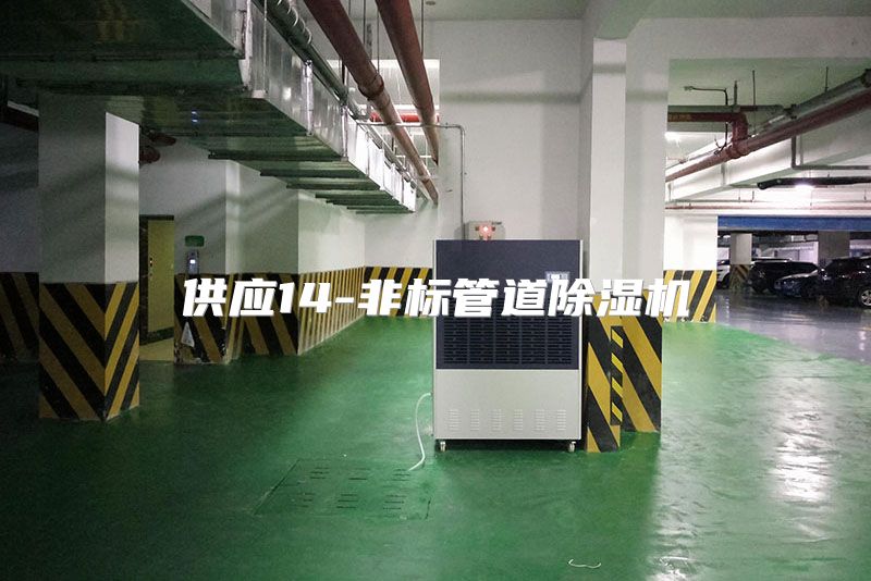 供应14-非标管道除湿机