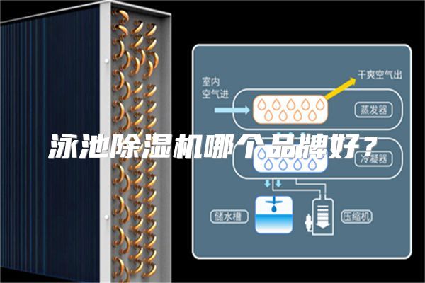 泳池除湿机哪个品牌好？