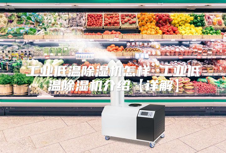 工业低温除湿机怎样 工业低温除湿机介绍【详解】
