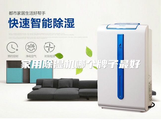 家用除湿机哪个牌子最好