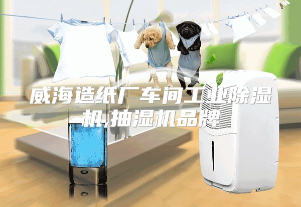 威海造纸厂车间工业除湿机,抽湿机品牌