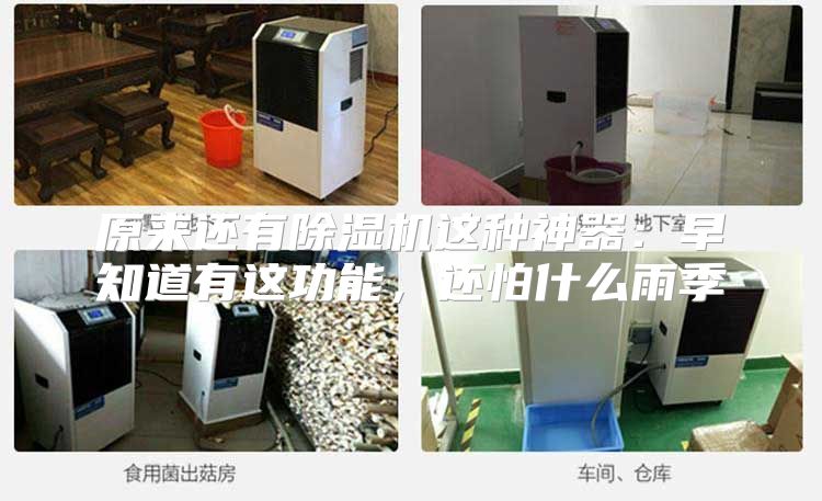原来还有除湿机这种神器：早知道有这功能，还怕什么雨季