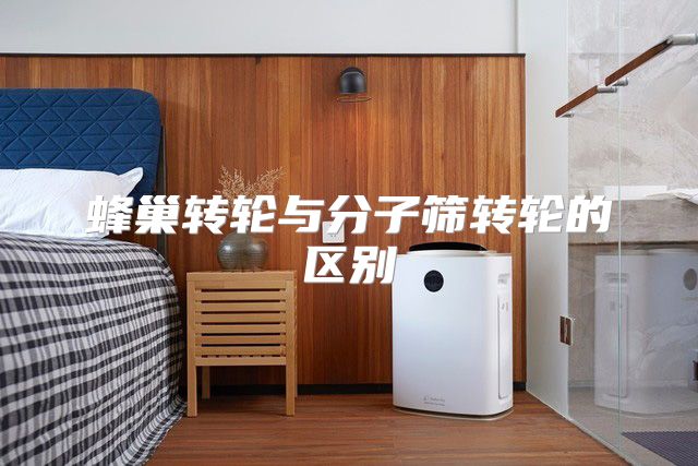 蜂巢转轮与分子筛转轮的区别