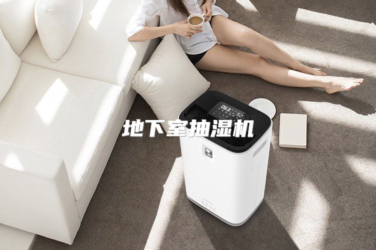 地下室抽湿机