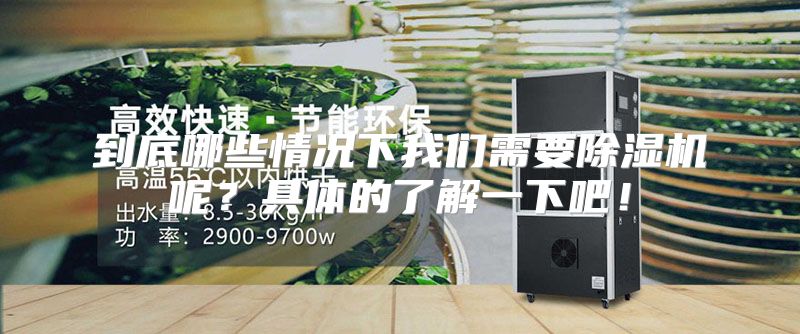 到底哪些情况下我们需要除湿机呢？具体的了解一下吧！