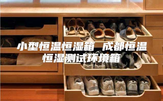 小型恒温恒湿箱 成都恒温恒湿测试环境箱