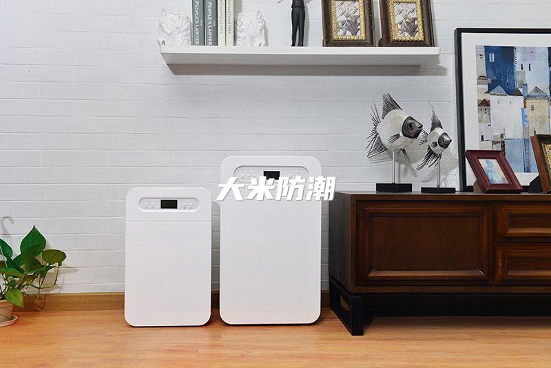 大米防潮