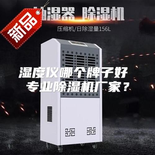 湿度仪哪个牌子好 专业除湿机厂家？