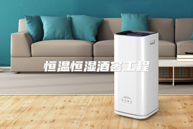 恒温恒湿酒窖工程