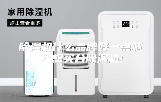 除湿机什么品牌好一点啊？想买台除湿机!