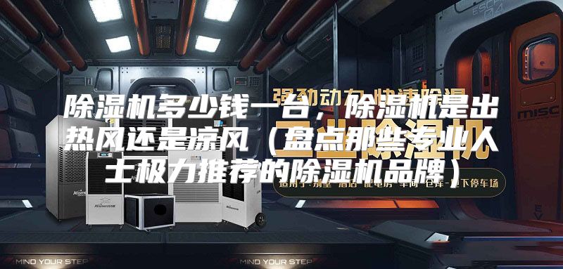 除湿机多少钱一台，除湿机是出热风还是凉风（盘点那些专业人士极力推荐的除湿机品牌）