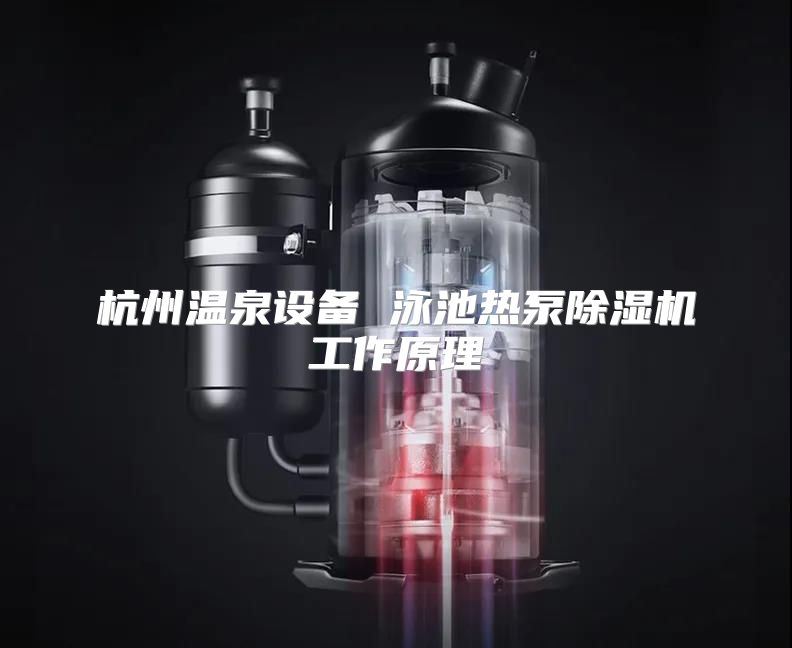 杭州温泉设备 泳池热泵除湿机工作原理