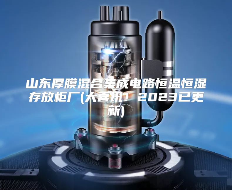 山东厚膜混合集成电路恒温恒湿存放柜厂(大喜讯！2023已更新)