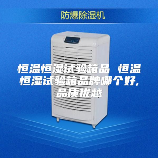 恒温恒湿试验箱品 恒温恒湿试验箱品牌哪个好,品质优越
