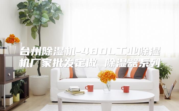 台州除湿机-480L工业除湿机厂家批发定做 除湿器系列