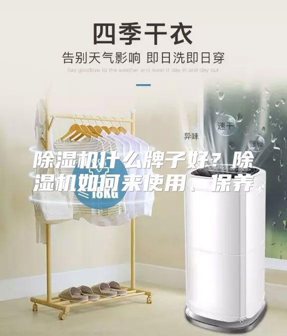 除湿机什么牌子好？除湿机如何来使用、保养