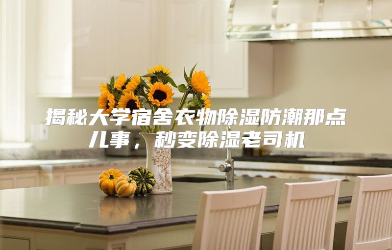 揭秘大学宿舍衣物除湿防潮那点儿事，秒变除湿老司机