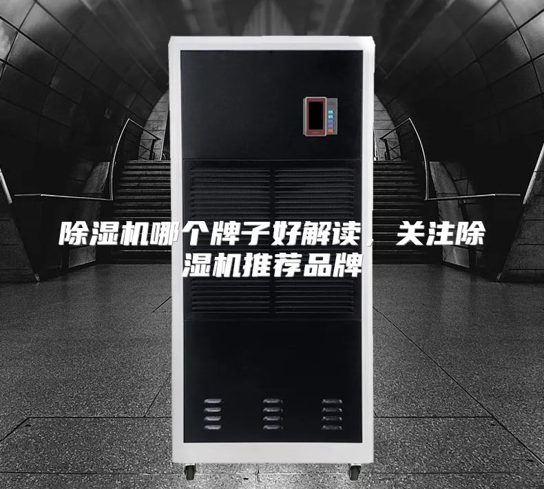 除湿机哪个牌子好解读，关注除湿机推荐品牌