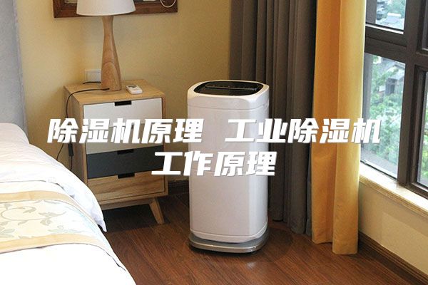 除湿机原理 工业除湿机工作原理