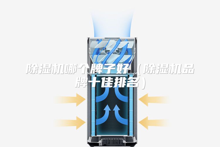 除湿机哪个牌子好（除湿机品牌十佳排名）