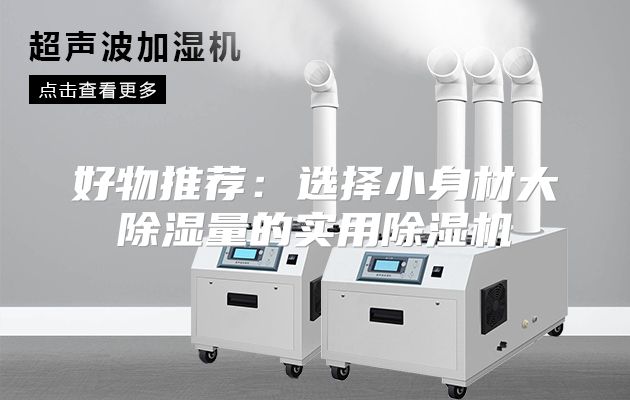 好物推荐：选择小身材大除湿量的实用除湿机