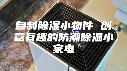 自制除湿小物件 创意有趣的防潮除湿小家电