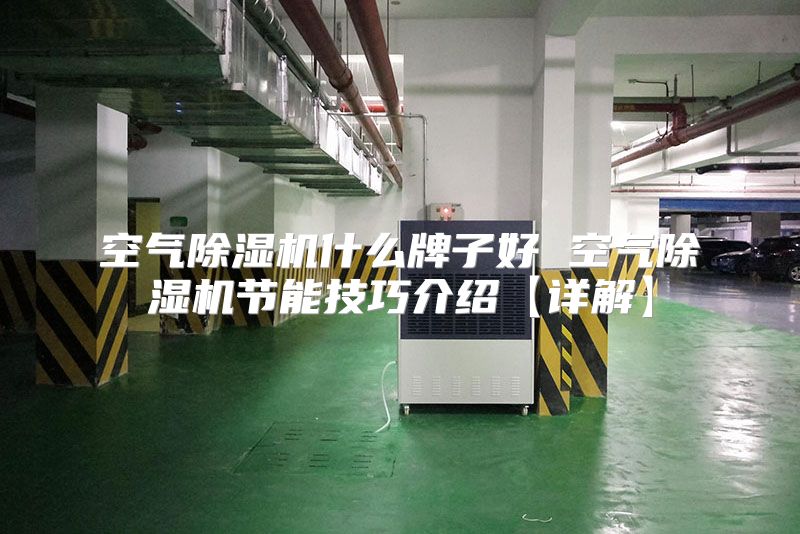 空气除湿机什么牌子好 空气除湿机节能技巧介绍【详解】