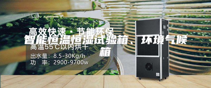 智能恒温恒湿试验箱、环境气候箱
