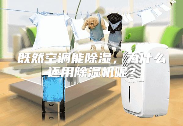 既然空调能除湿，为什么还用除湿机呢？