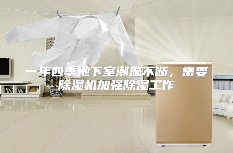 一年四季地下室潮湿不断，需要除湿机加强除湿工作