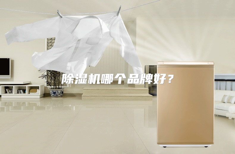 除湿机哪个品牌好？