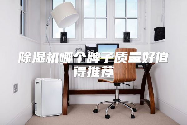 除湿机哪个牌子质量好值得推荐
