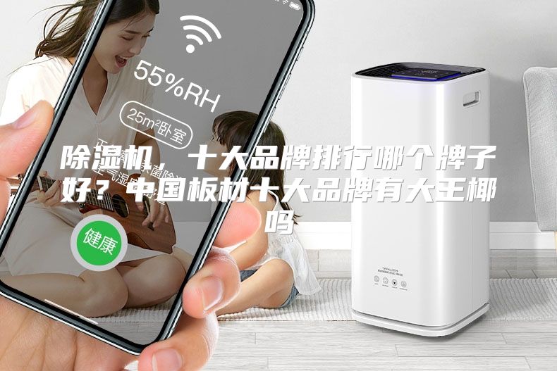 除湿机，十大品牌排行哪个牌子好？中国板材十大品牌有大王椰吗