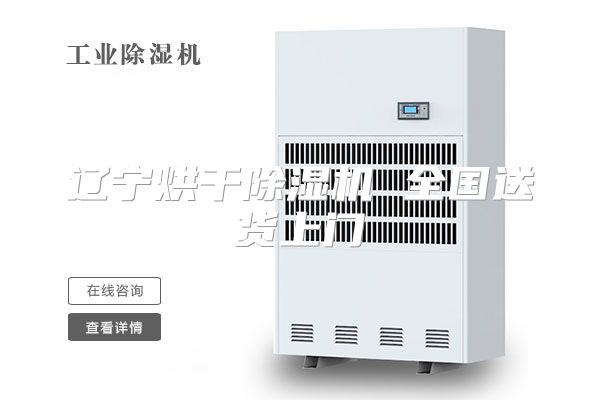 辽宁烘干除湿机 全国送货上门