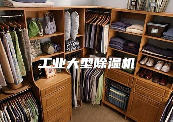 工业大型除湿机