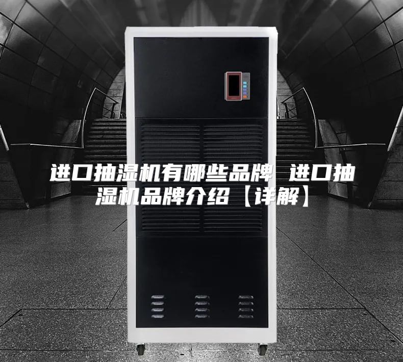 进口抽湿机有哪些品牌 进口抽湿机品牌介绍【详解】