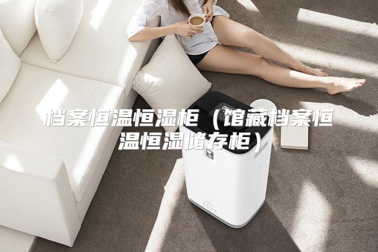 档案恒温恒湿柜（馆藏档案恒温恒湿储存柜）